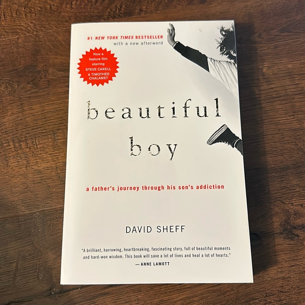 Beautiful Boy by David Sheff